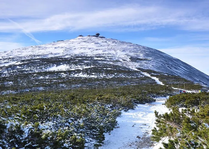 Salamandra Daire Kowary